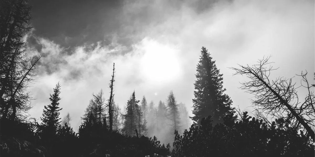 新旧技术文档对比：AI辅助编写带来的质量提升